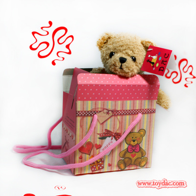Ours en peluche avec boîte-cadeau